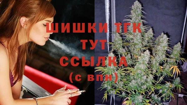 гашик Богородск