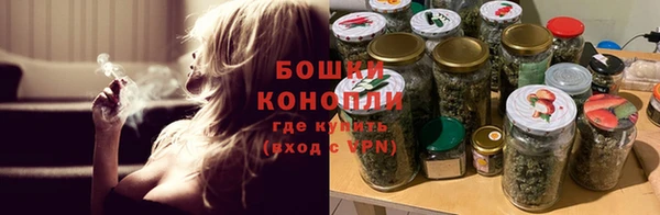 a pvp Бородино