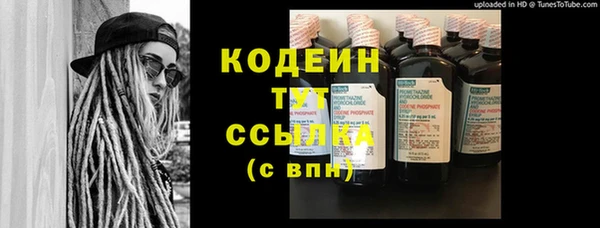 a pvp Бородино