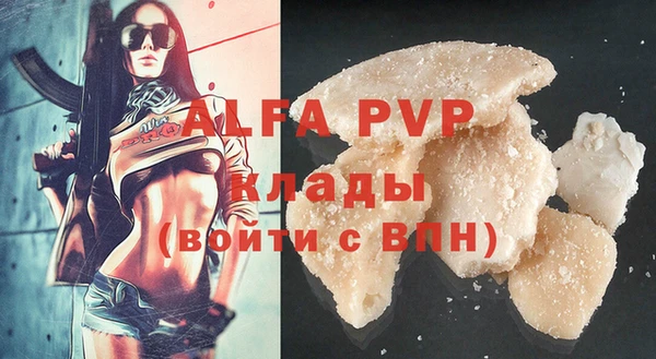 гашик Богородск