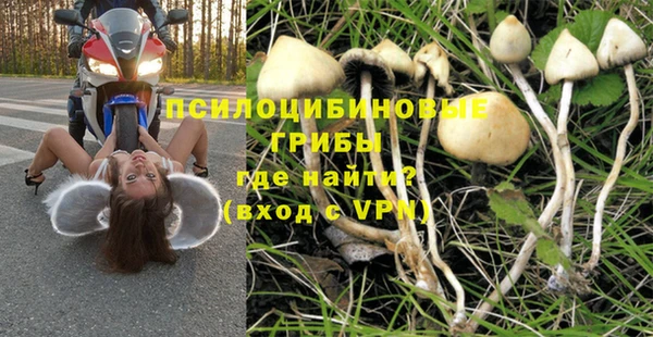гашик Богородск