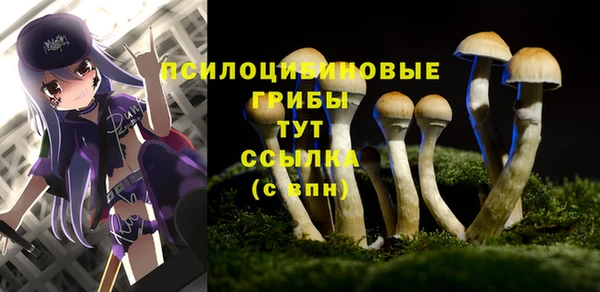 Альфа ПВП Богородицк