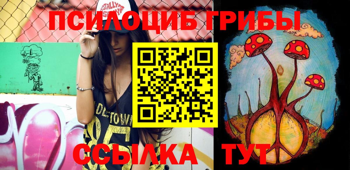 Псилоцибиновые грибы мицелий Городец