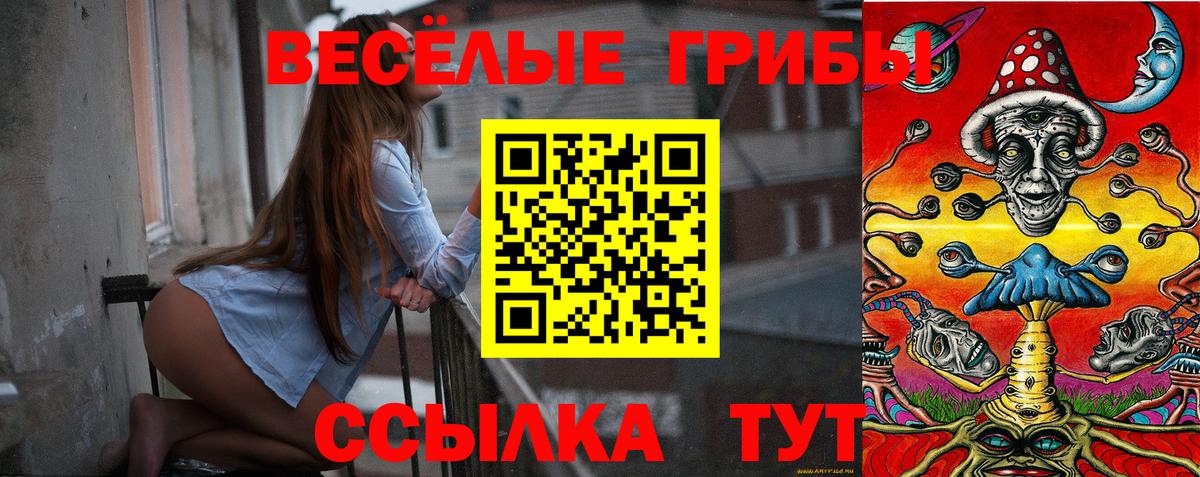 Городец  Псилоцибиновые грибы прущие грибы  Вход с VPN  Псилоцибиновые грибы мухоморы 