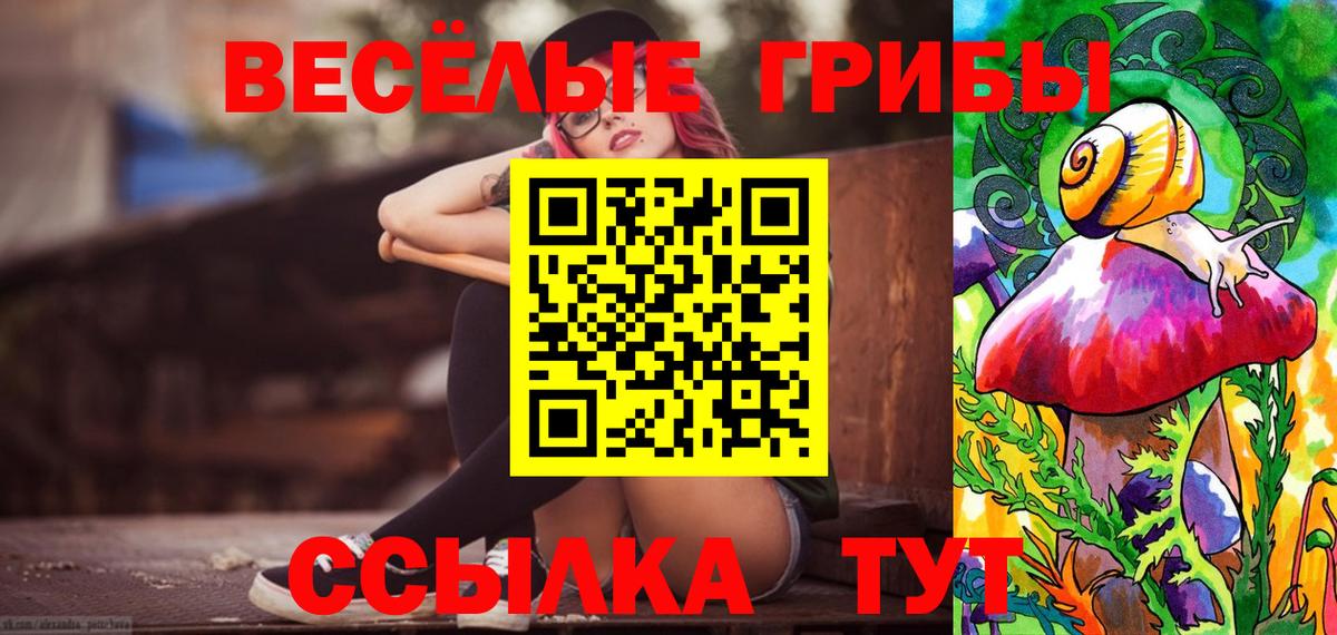 Псилоцибиновые грибы MAGIC MUSHROOMS  Городец  наркотики  Галлюциногенные грибы MAGIC MUSHROOMS 