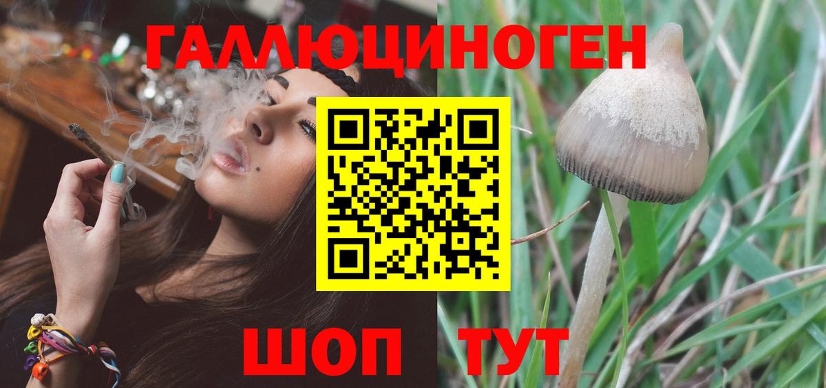 APVP Городец